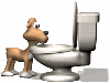 Dog Drinking Out Of Toilet Bowl Graphic